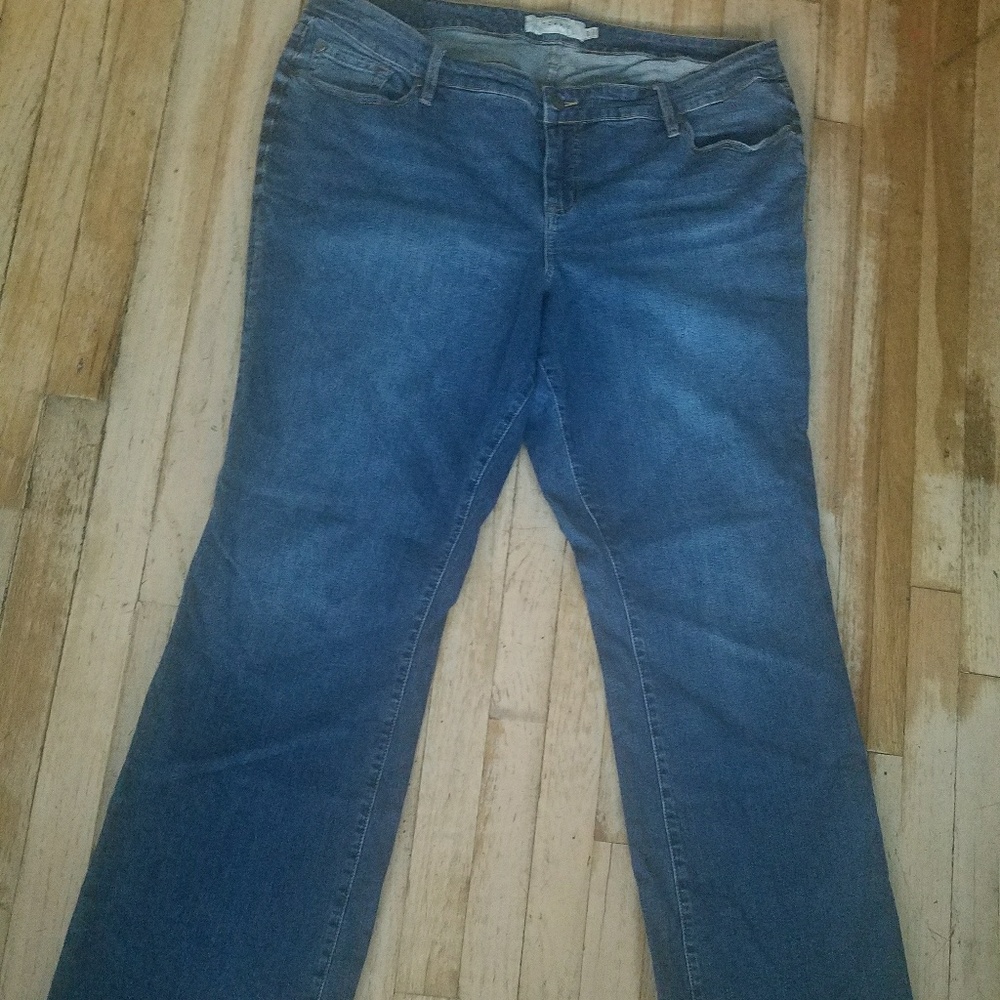 Torrid Jeans